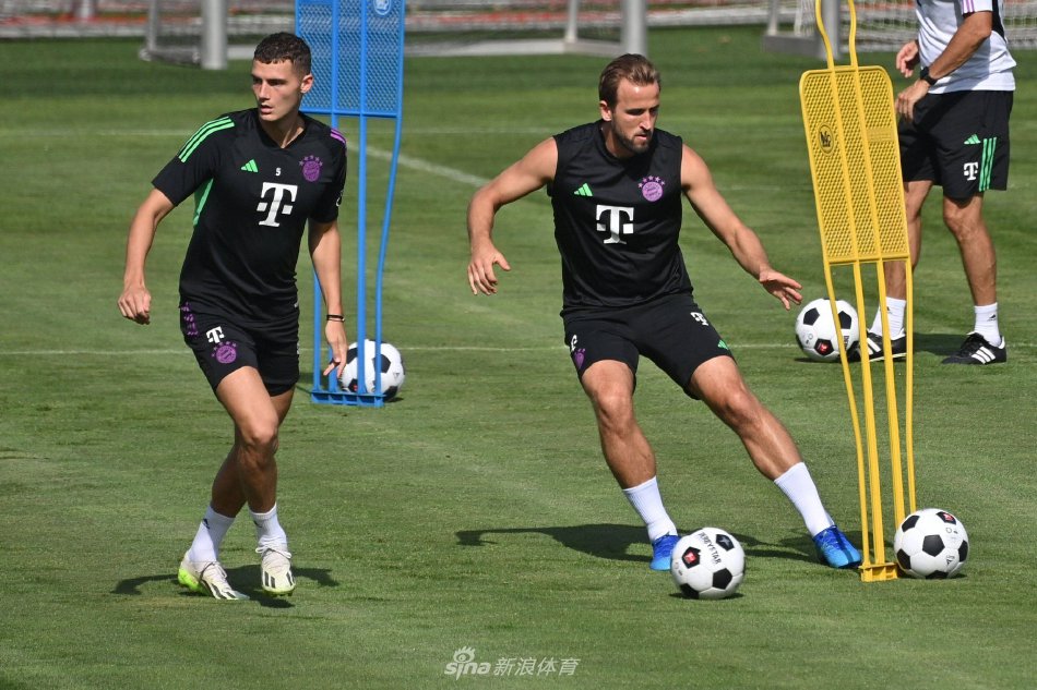 最新一轮中 最新一轮中